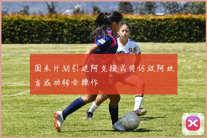 国米计划引进阿克模式将仿效阿坎吉成功转会操作